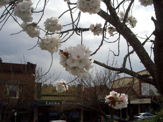 Musée du jouet et des chemins de fer Leuralla